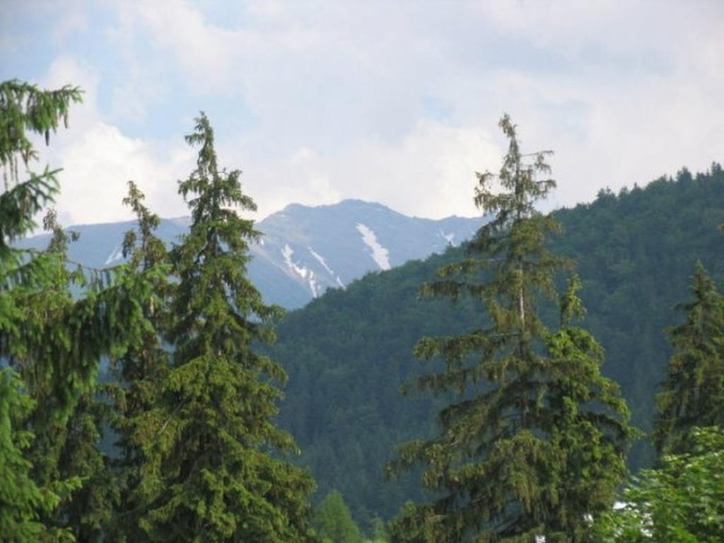 Willa Lesna Zakopane Exterior photo